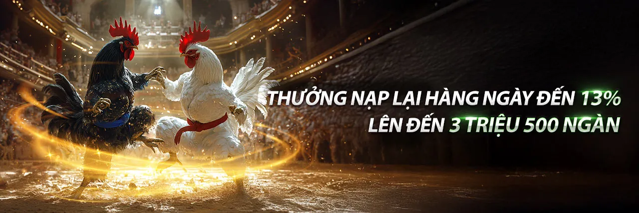 Tổng quan nền tảng Longfu88